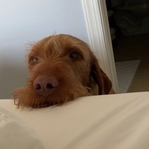 Meet your Posher, Remigio